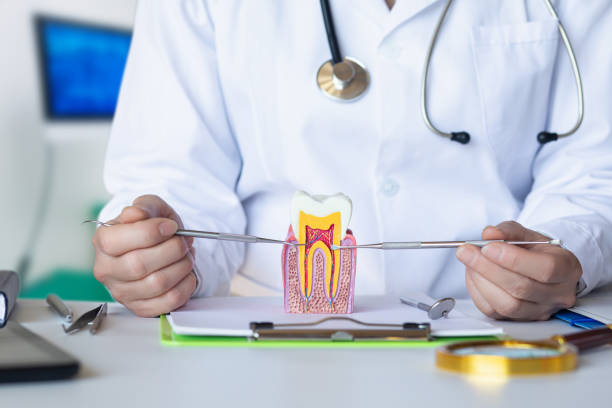 Best Emergency Root Canal Therapy in Leander, TX